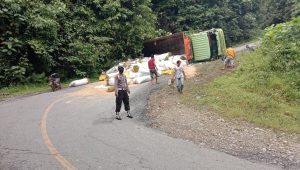 Truk Bermuatan 17 Ton Gabah Terbalik di Tolala