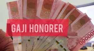 Kejelasan Gaji Honorer Nakes Kolut Dibahas Besok