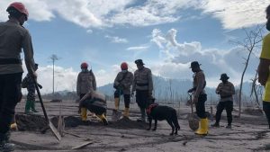 Korban Erupsi Semeru, 43 Orang Meninggal Dunia Dan 104 Luka-Luka