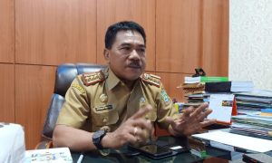 Distanak Konut Programkan Bibit Sapi Sebanyak 250 Ekor