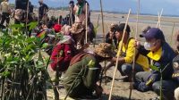 IMG-20230823-WA0026~2 Cegah Abrasi, Polres Kolut Tanam Ratusan Mangrove di Pantai Halimah dan Bahari