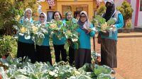 SDN 2 Langgikima Panen Sayur dan Buah Hasil P2KP, Yeti Bur Kalenggo: Bentuk Dukungan Terhadap Program Bupati