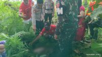 Warga Kolaka Temukan Mayat Bayi Saat Mencari Kayu Bakar