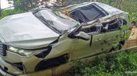Pohon Tumbang Timpa Mobil di Kolaka, Sopir Dilarikan ke Puskesmas