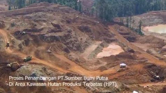 Forkam HL Sultra: PT Sumber Bumi Putra Diduga Rambah Kawasan Hutan di Luar IPPKH