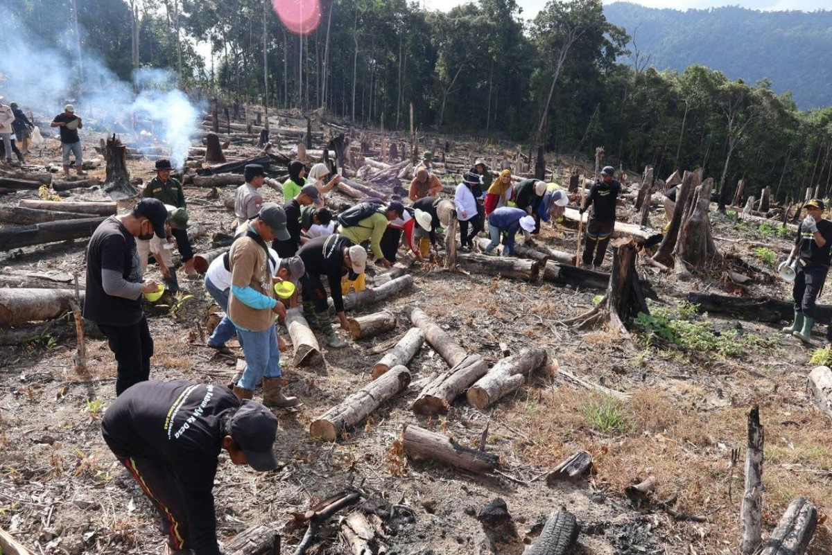 Penanaman Padi Gogo di Desa Tetelupai, Wujud Nyata Asta Cita Presiden Memperkuat Ketahanan Pangan