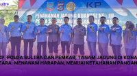 PT AKP, Polda Sultra dan Pemkab, Tanam Jagung di Konawe Utara: Menanam Harapan, Menuai Ketahanan Pangan