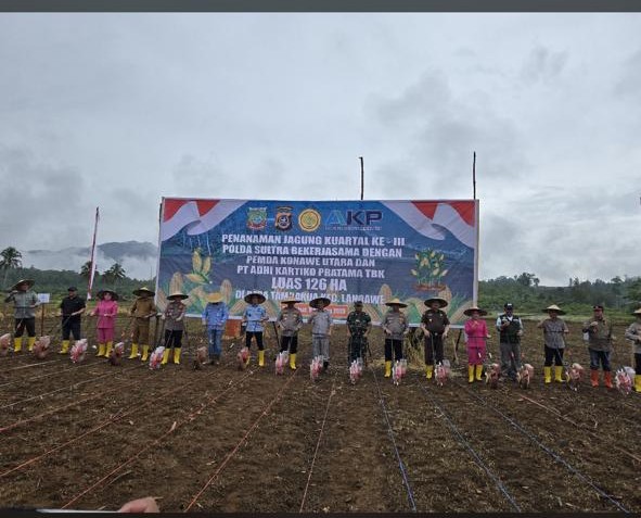 PT AKP, Polda Sultra dan Pemkab, Tanam Jagung di Konawe Utara: Menanam Harapan, Menuai Ketahanan Pangan