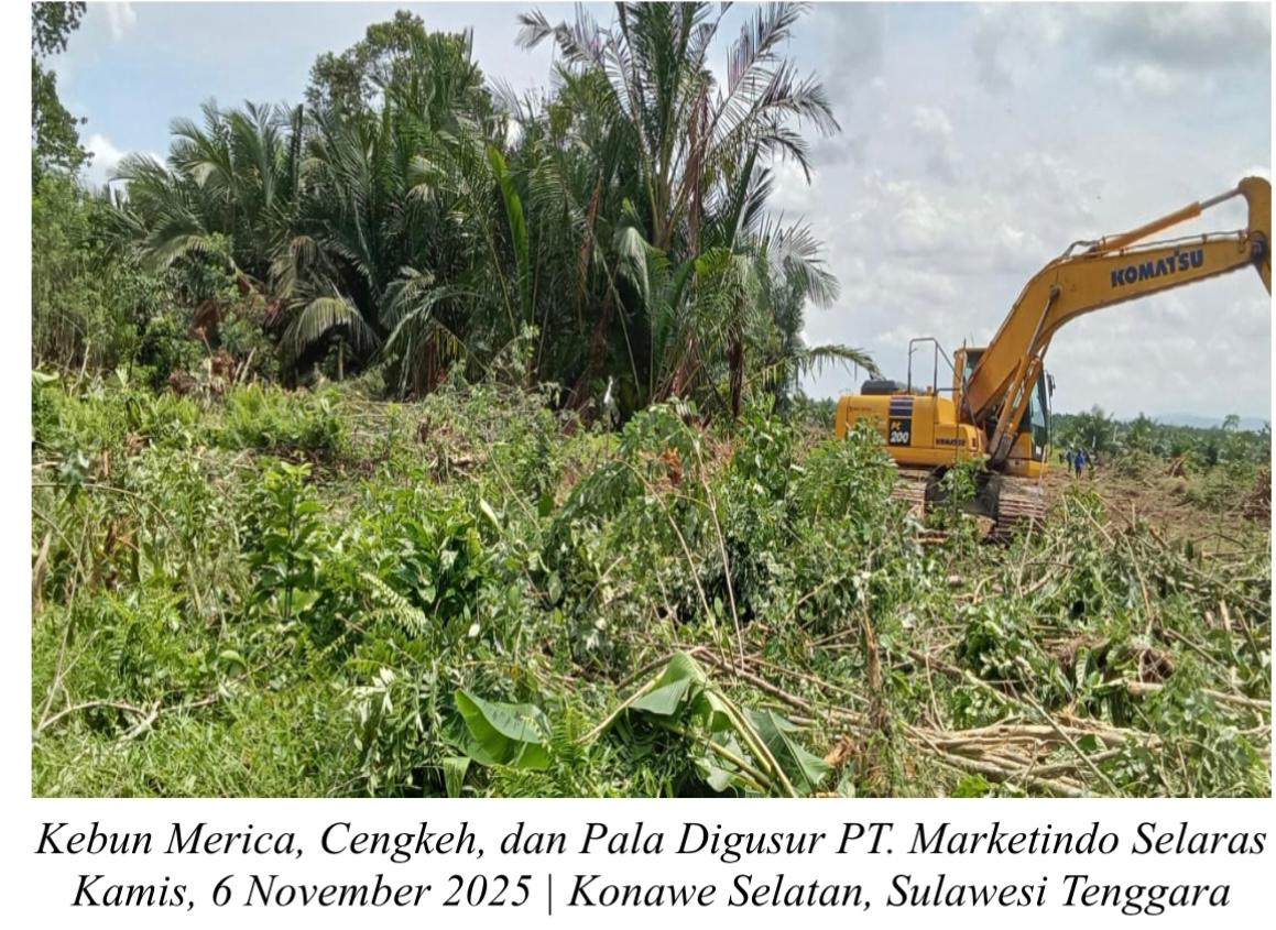Skandal Agraria PT. Marketindo, Warga Tersingkir, Hukum Dibungkam