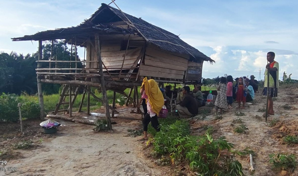 JPLK Kecam Penggusuran Paksa di Konawe Selatan, PT Marketindo Selaras Diduga Langgar HAM?