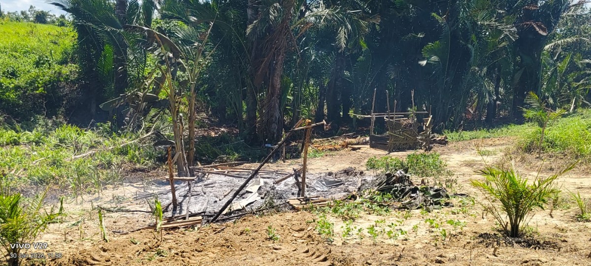 JPLK Kecam Penggusuran Paksa di Konawe Selatan, PT Marketindo Selaras Diduga Langgar HAM? JPLK Kecam Penggusuran Paksa di Konawe Selatan, PT Marketindo Selaras Diduga Langgar HAM?