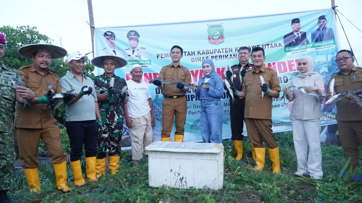Panen Raya Bandeng di Lembo, Bukti Komitmen Pemkab Konut Dorong Ekonomi Pesisir Panen Raya Bandeng di Lembo, Bukti Komitmen Pemkab Konut Dorong Ekonomi Pesisir