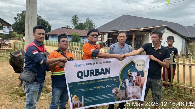 PT SBP Salurkan Hewan Kurban di Konut, Tokoh Pemuda Sampaikan Apresiasi
