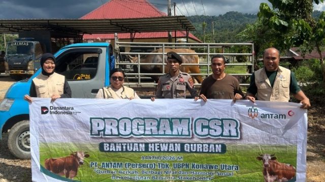 Tokoh Pemuda Konut Apresiasi PT ANTAM Salurkan 26 Ekor Sapi Kurban